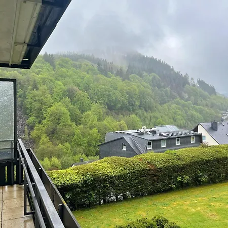 Apartment Aussicht 1 Willingen (Upland)